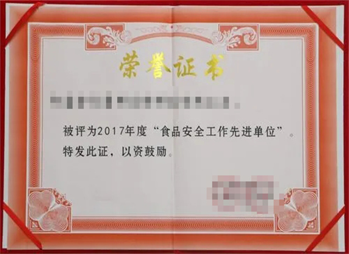 Certyfikat Honorowy 8